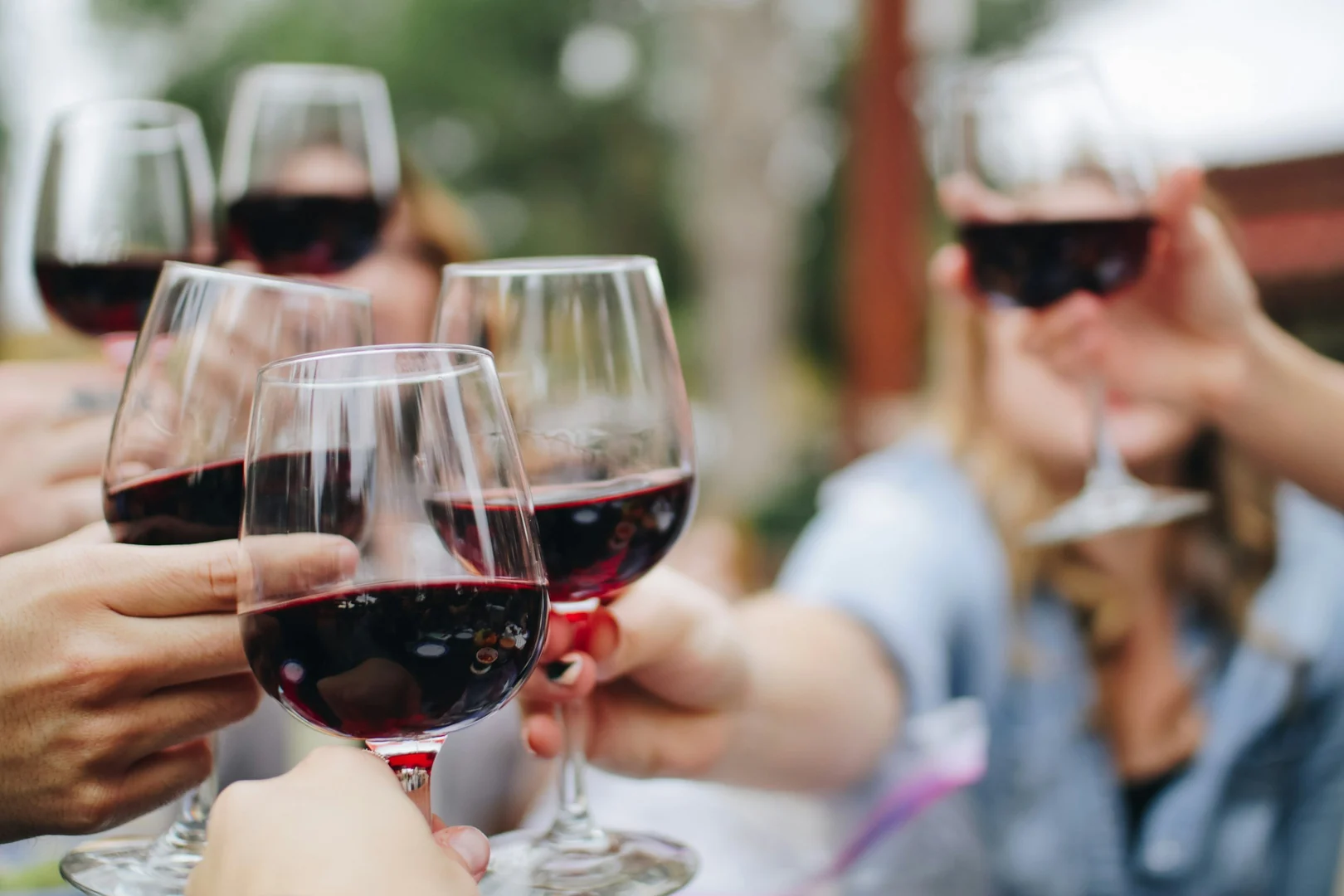 Grape Night with Kukkula Wines