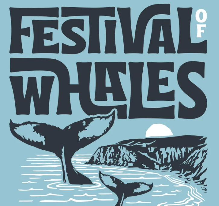 Festival of Whales 2027