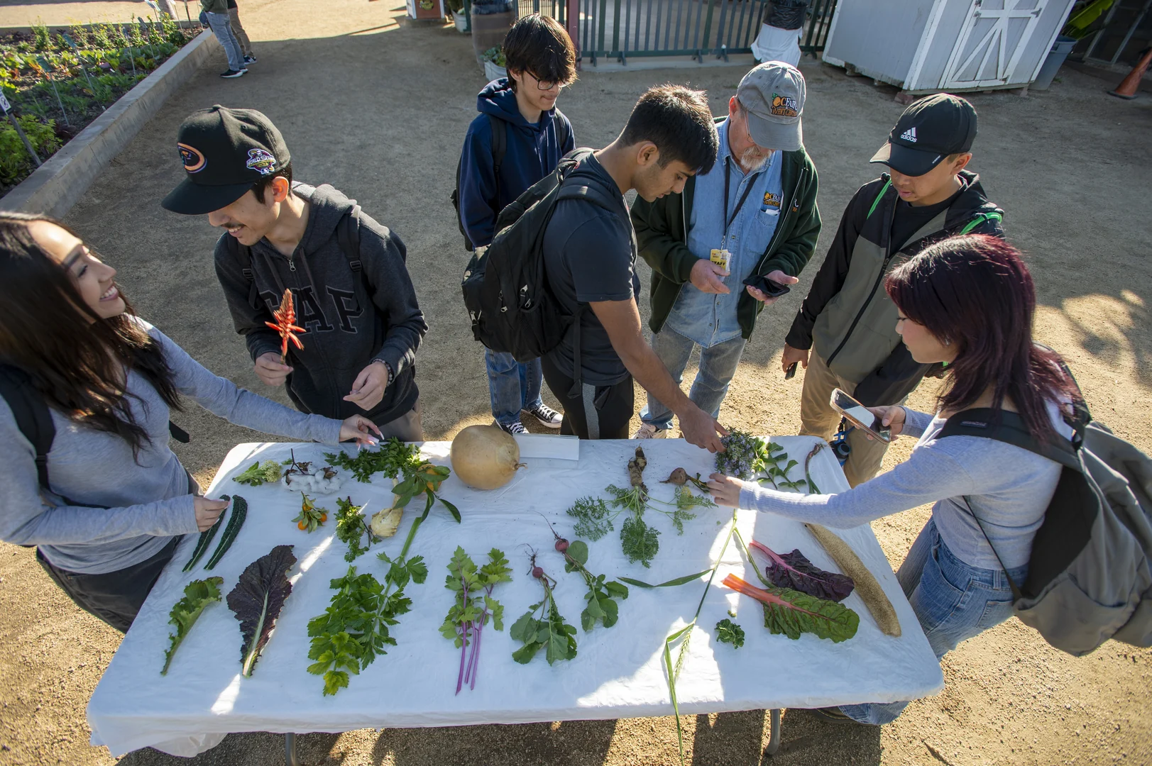 Discovery Day at the Farm