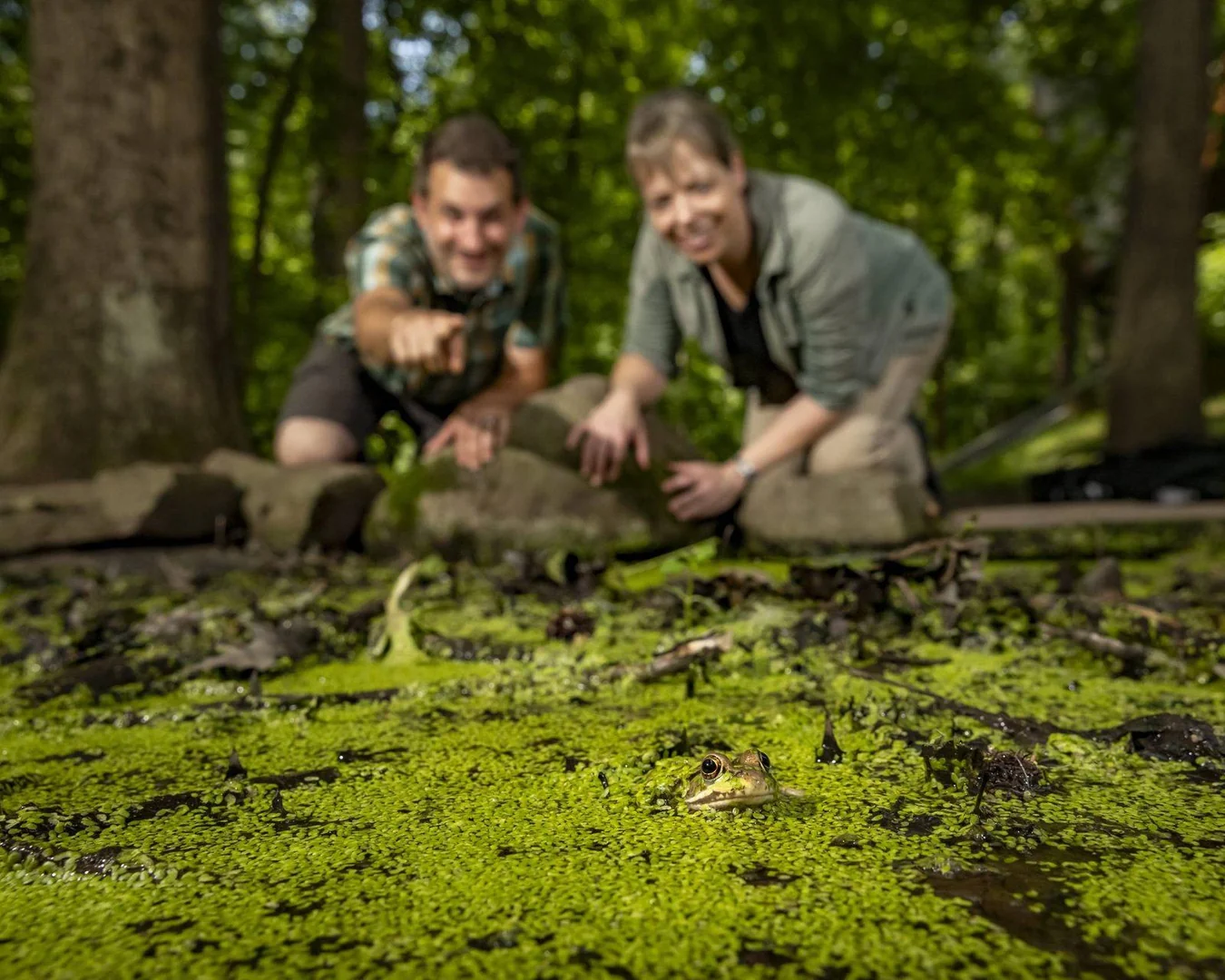 Weird World of Frogs