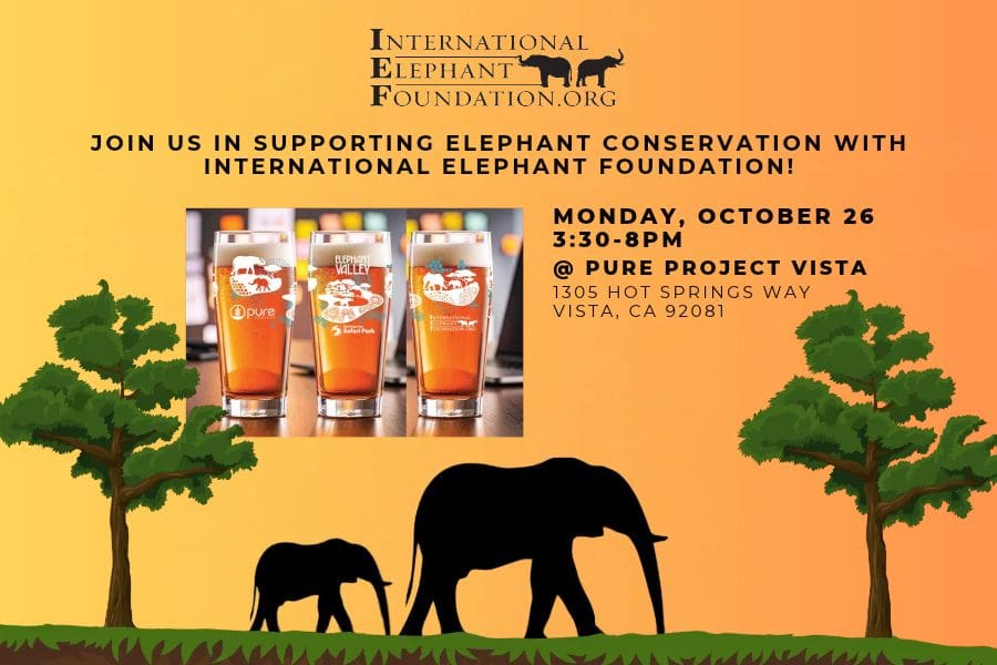 International Elephant Foundation Benefit