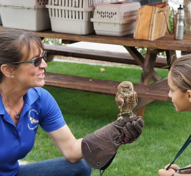 Birds of Prey Presentation