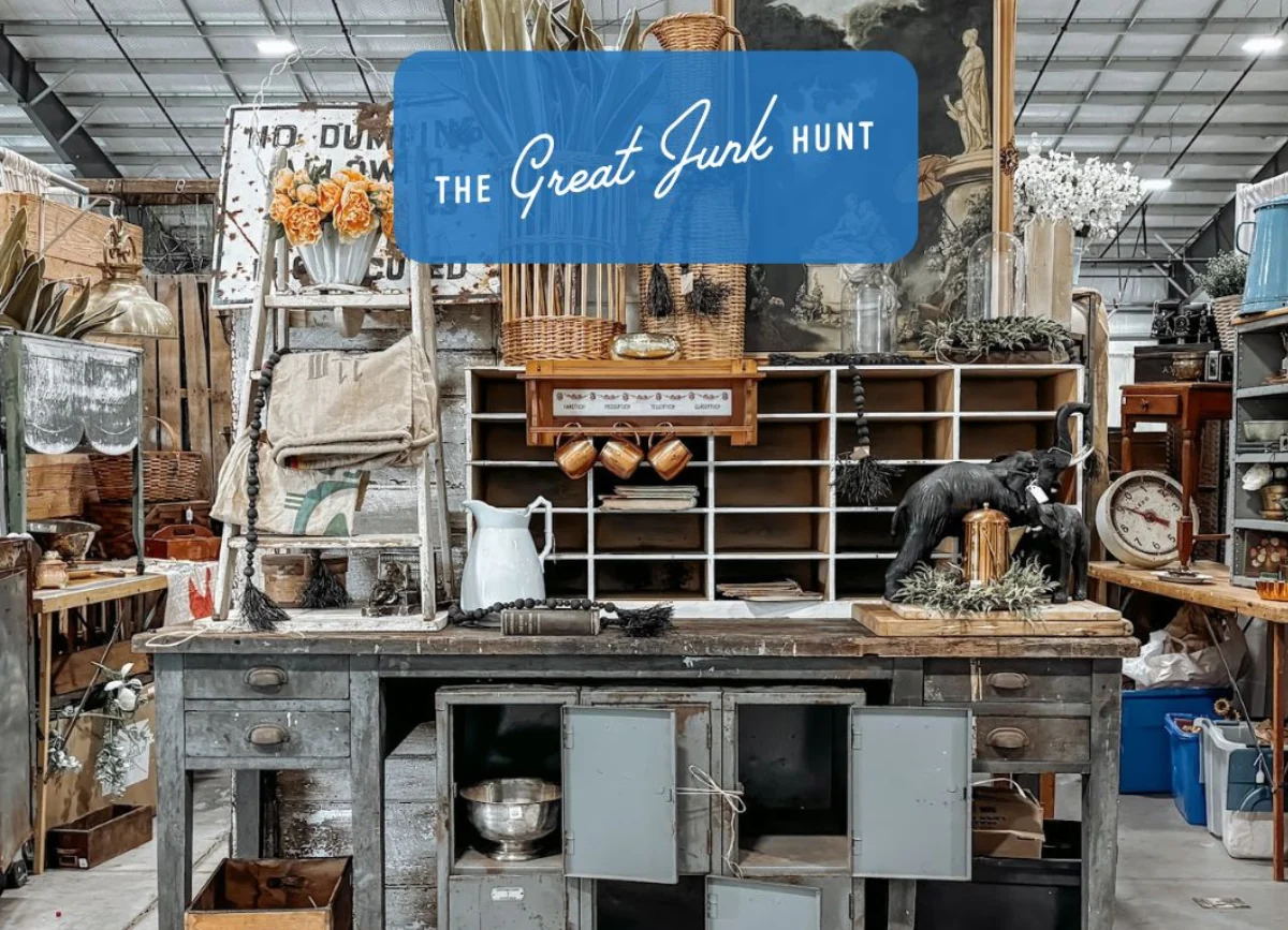 The Great Junk Hunt