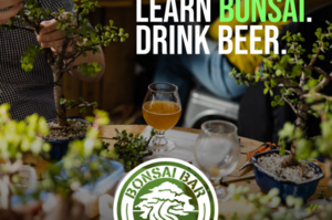 Bonsai Bar